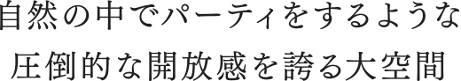 自然の中でパーティをするような 圧倒的な開放感を誇る大空間